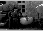 Mollans marché au tilleul 1963